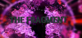 The Fragment Logo
